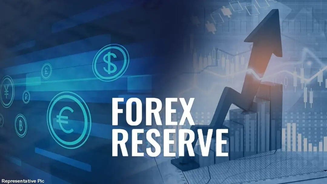 India Forex Reserve Cross 700 Billion Dollars